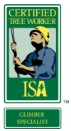 Tree Climbers Tree Care Fayetteville AR